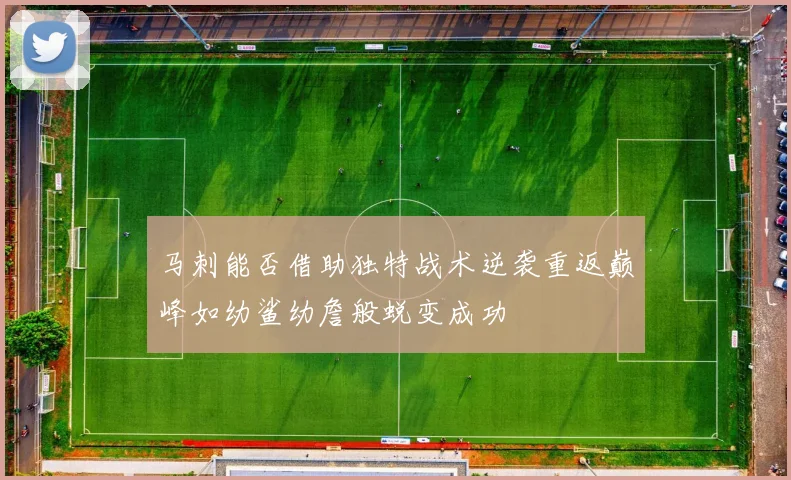 马刺能否借助独特战术逆袭重返巅峰如幼鲨幼詹般蜕变成功